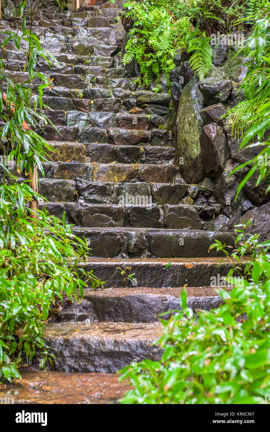 Nassen Stein Schritte in Kyoto, Japan. Stockfoto