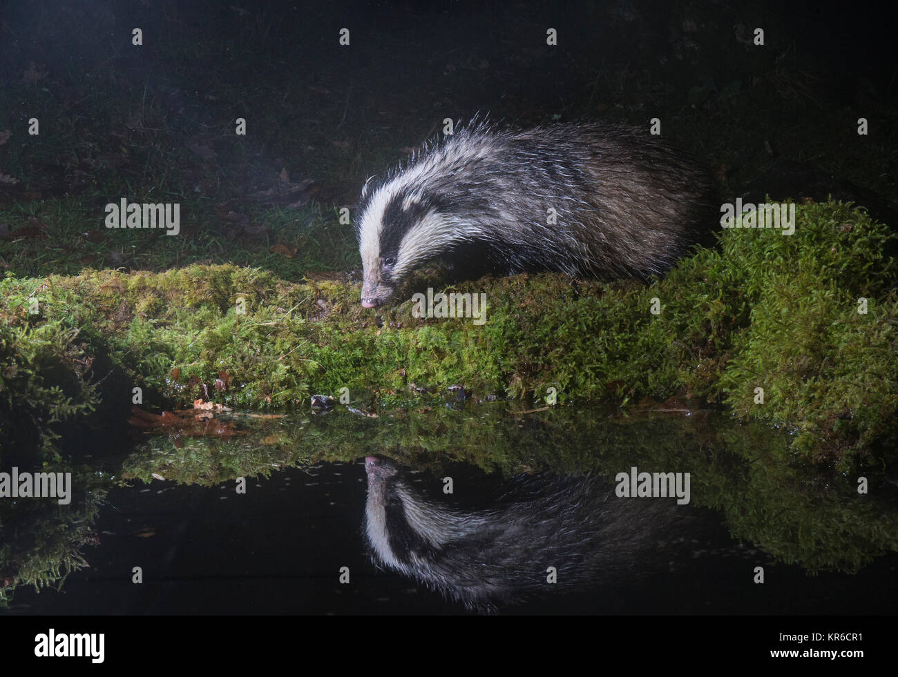 Schottland Stockfoto