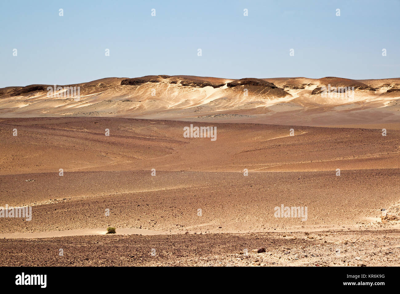 Sanddünen an der Skelettküste Namibias Stockfoto