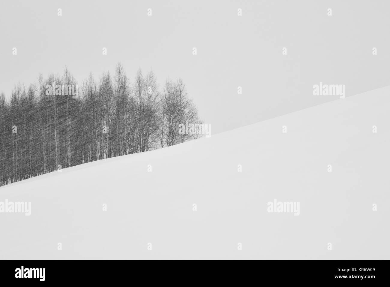 Verschneite Winterlandschaft mit Hügel und kleine Baumgruppe in der Ferne Biei. Stockfoto