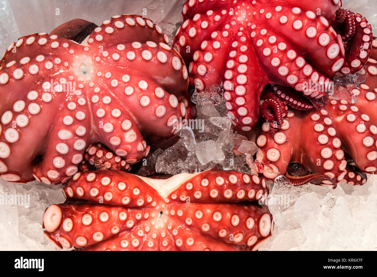 Hohen winkel Nahaufnahme von roten Tintenfisch auf Eis zu einem Fischmarkt. Stockfoto