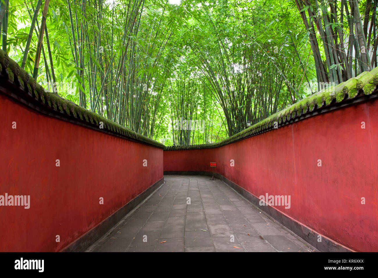 Blick entlang Gehweg mit roten Wänden durch Bambus Wald. Stockfoto