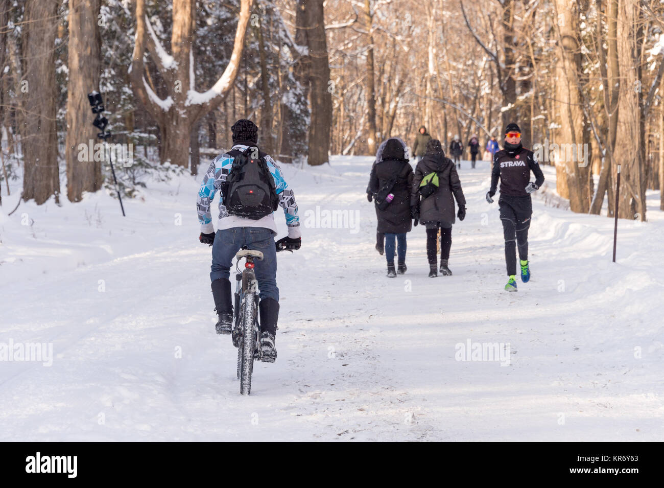 Montreal, CA - 17. Dezember 2017: Die Menschen laufen und Fahrrad fahren auf Schnee in den Mont Royal Park Stockfoto