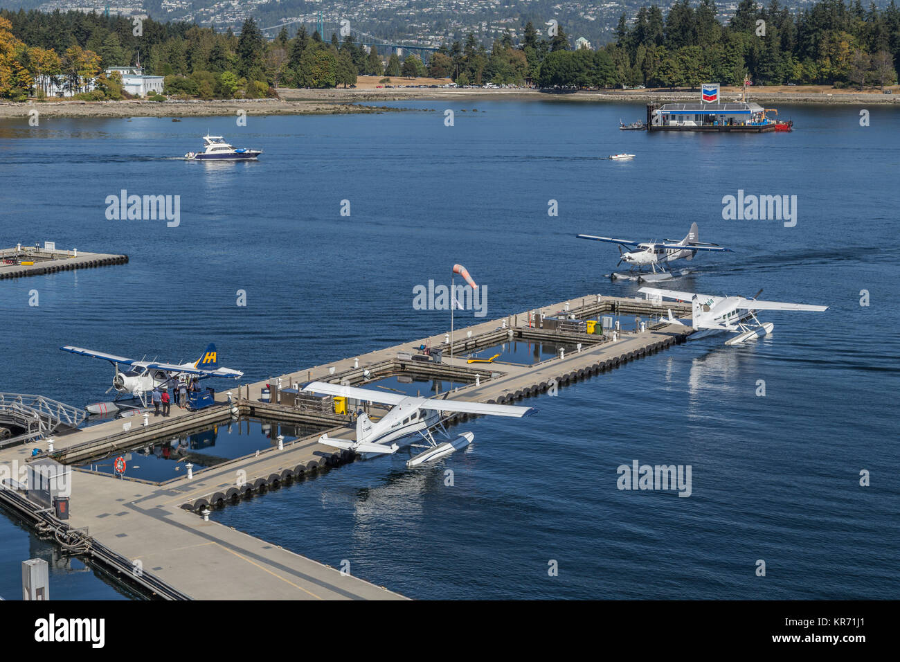 Floatplanes in Vancouver Harbour Flight Centre (Wasser, Flughafen oder Hafen von Vancouver Vancouver Coal Harbour Seaplane Base) in Vancouver Waterfront Stockfoto