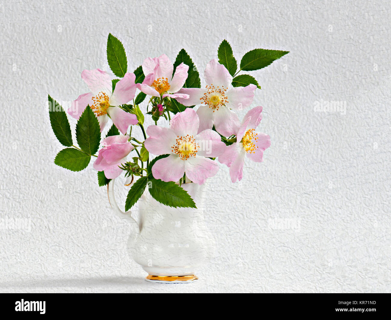 Rose Rose, Rosa Canina posy in Krug Vase. Künstlerische strukturierte Schichten zu Bild hinzugefügt eine malerische Wirkung zu erzielen. Stockfoto