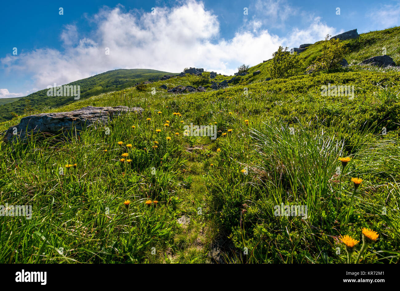 Weg durch Wiese Wiese, riesige Felsbrocken. schönen bergigen Landschaft im Sommer morgen Stockfoto