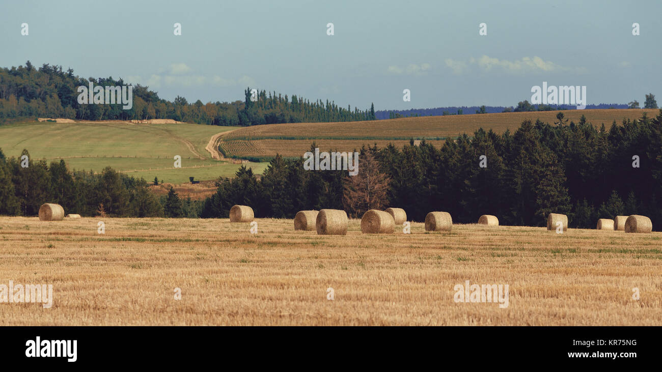 geernteten Feld mit Strohballen im Sommer Stockfoto