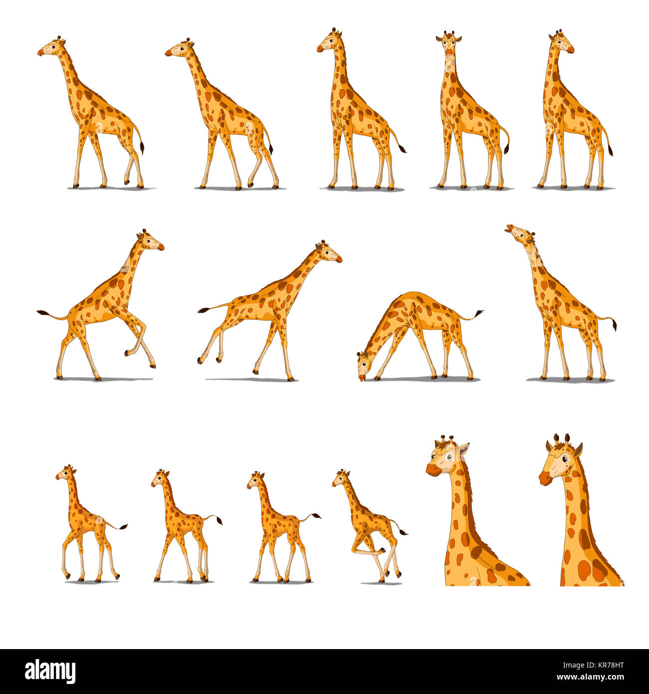 Afrikanische Giraffe isoliert auf weißem Hintergrund Stockfoto