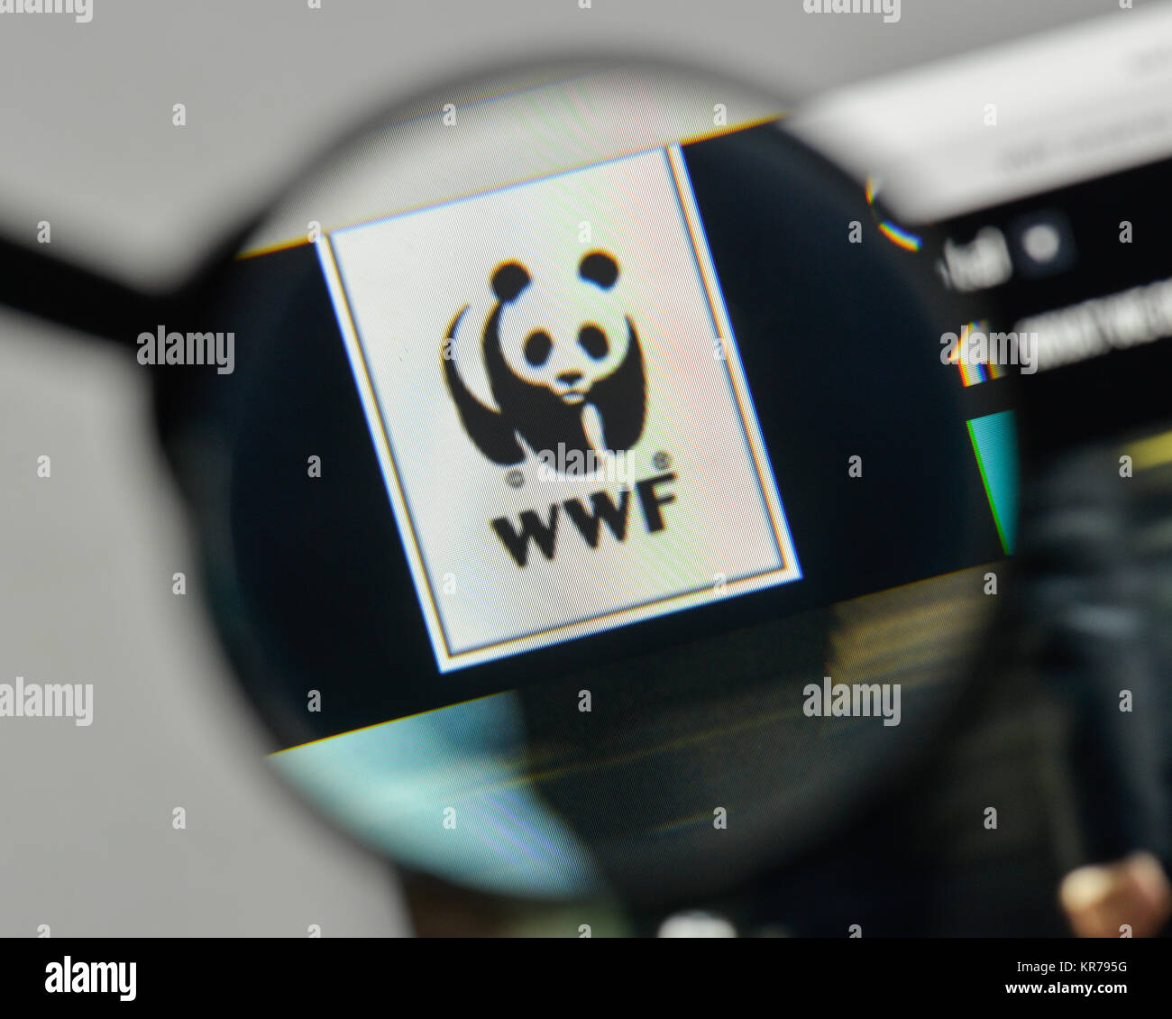 Mailand, Italien - 1. November 2017: der Wwf Logo auf der Homepage. Stockfoto