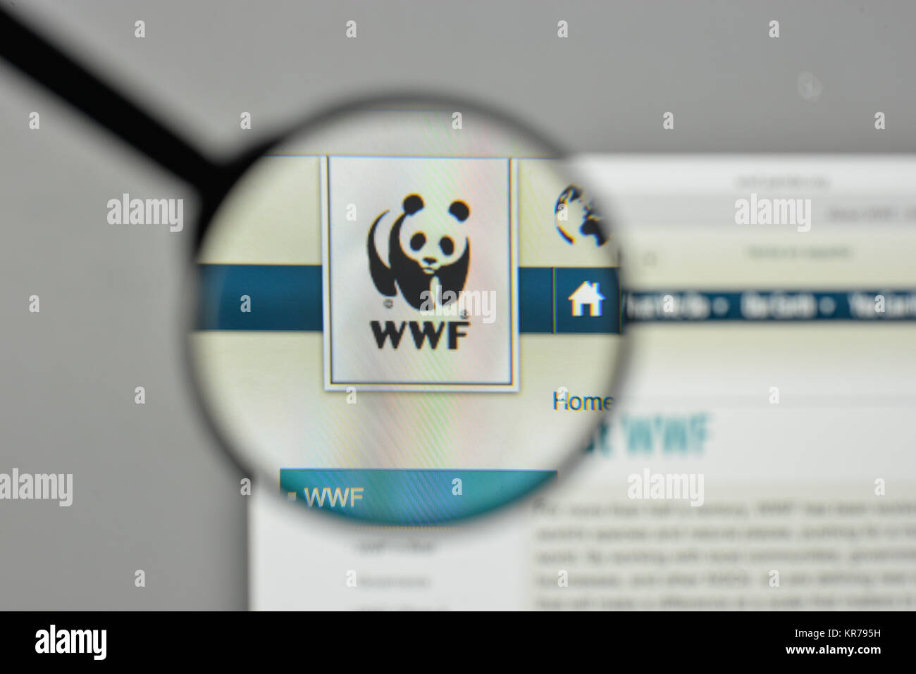 Mailand, Italien - 1. November 2017: der Wwf Logo auf der Homepage. Stockfoto