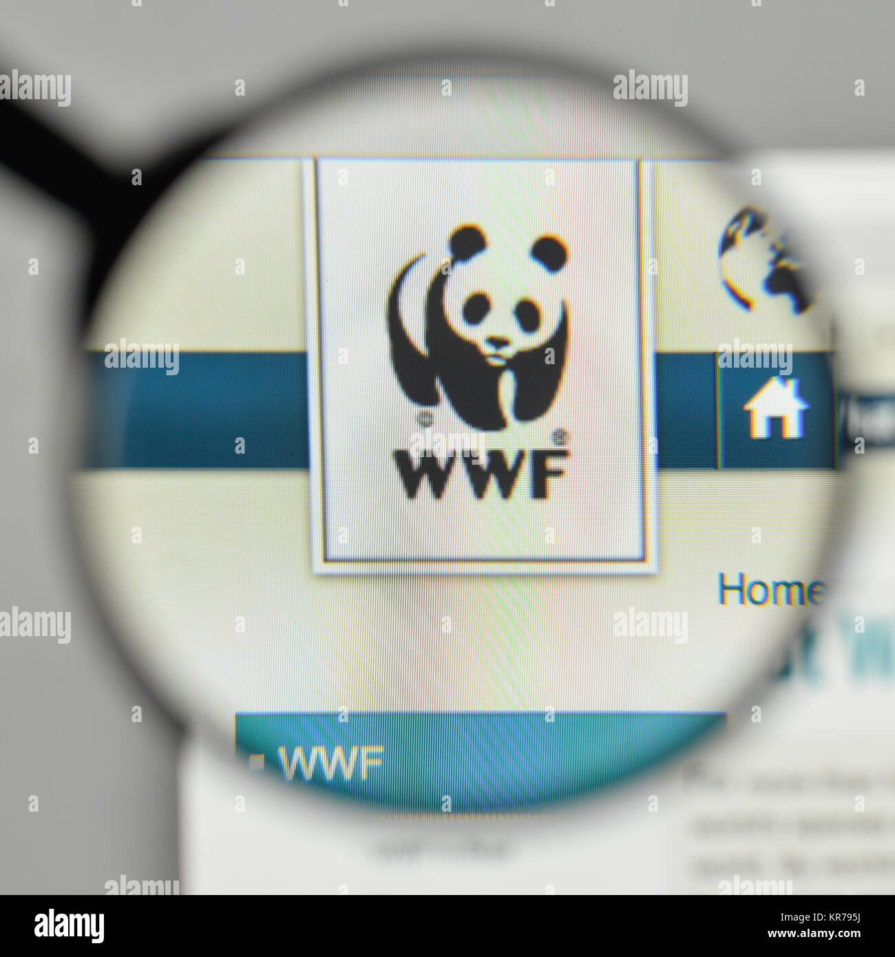 Mailand, Italien - 1. November 2017: der Wwf Logo auf der Homepage. Stockfoto