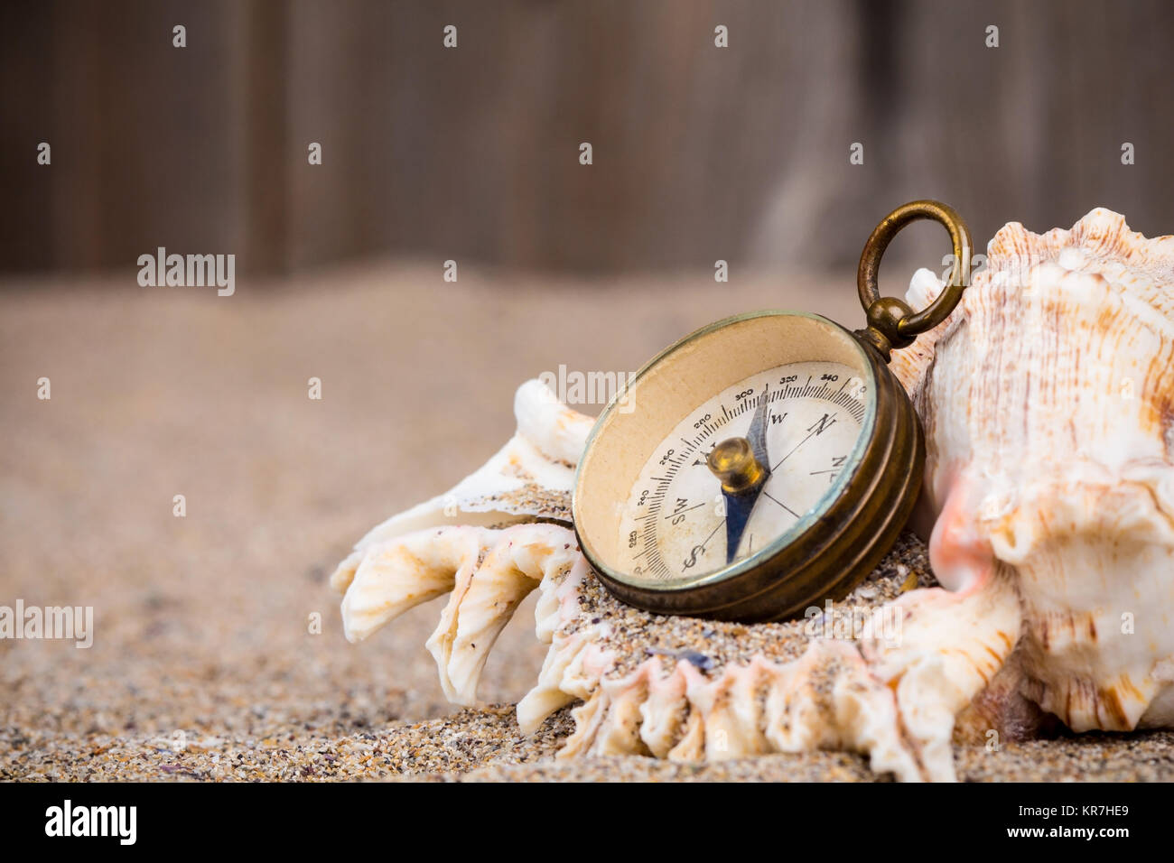 Vintage Kompass mit Muschel auf Sand Stockfoto