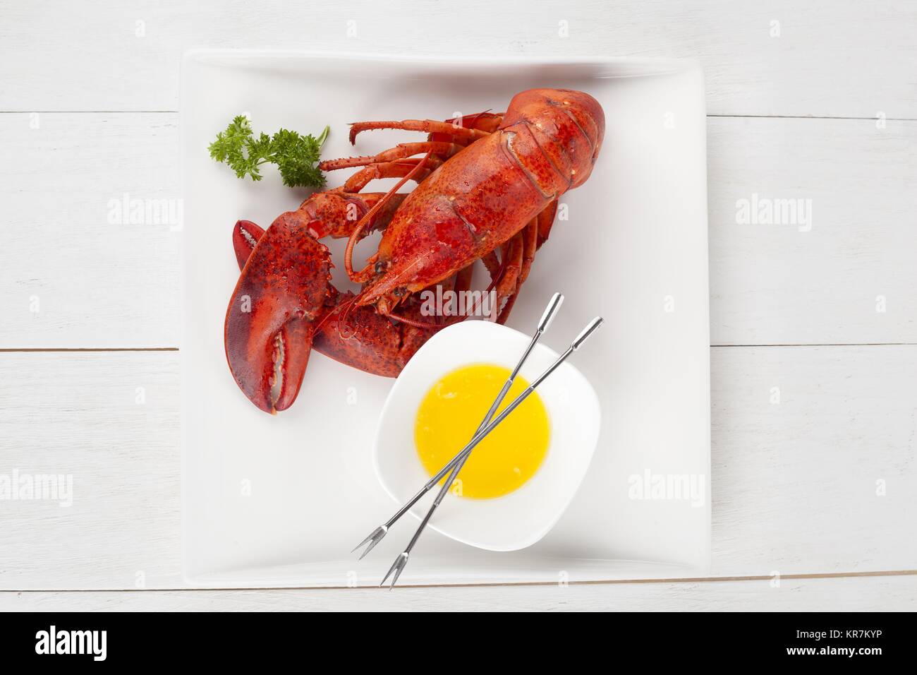 Leckere lobster Dish Stockfoto