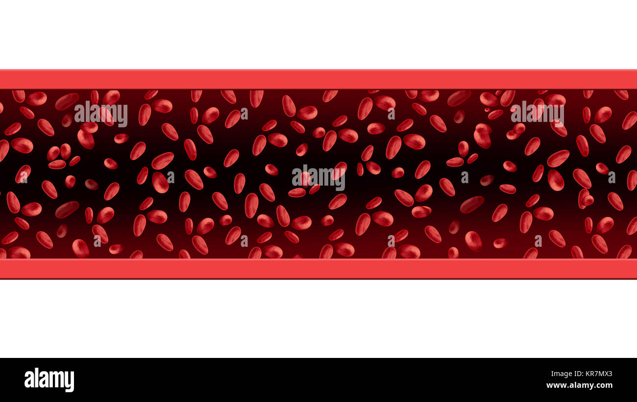 Rote Blutkörperchen Kreislauf wie fließende mikroskopische Hämoglobin Fluid als eine menschliche Anatomie medizinisches Konzept als 3D Rendering isoliert auf Weiss. Stockfoto