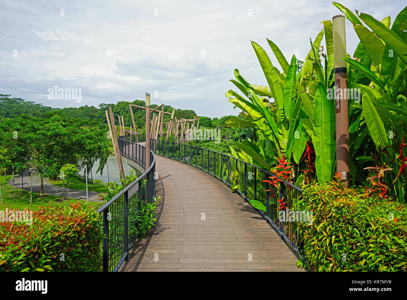 Ansicht der Punggol Wasserstraße Park entlang Sentul Crescent Road in Singapur Stockfoto