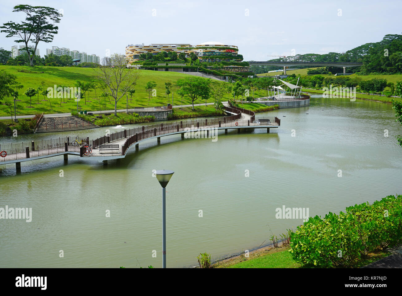 Ansicht der Punggol Wasserstraße Park entlang Sentul Crescent Road in Singapur Stockfoto