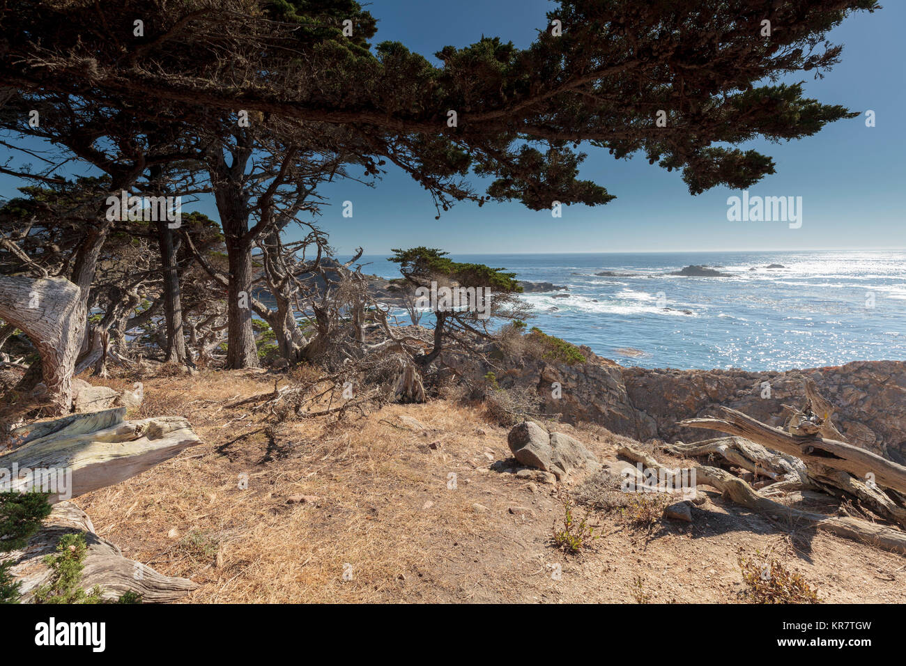 Point Lobos State Marine Reserve, Kalifornien Stockfoto