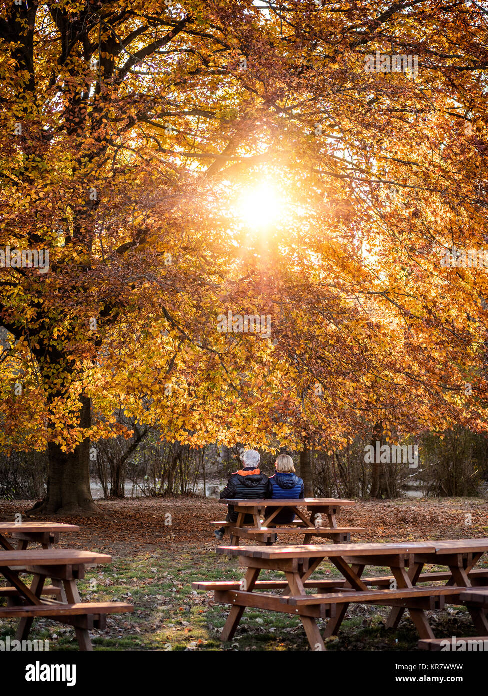 Senior paar entspannende im herbstlichen Park Stockfoto