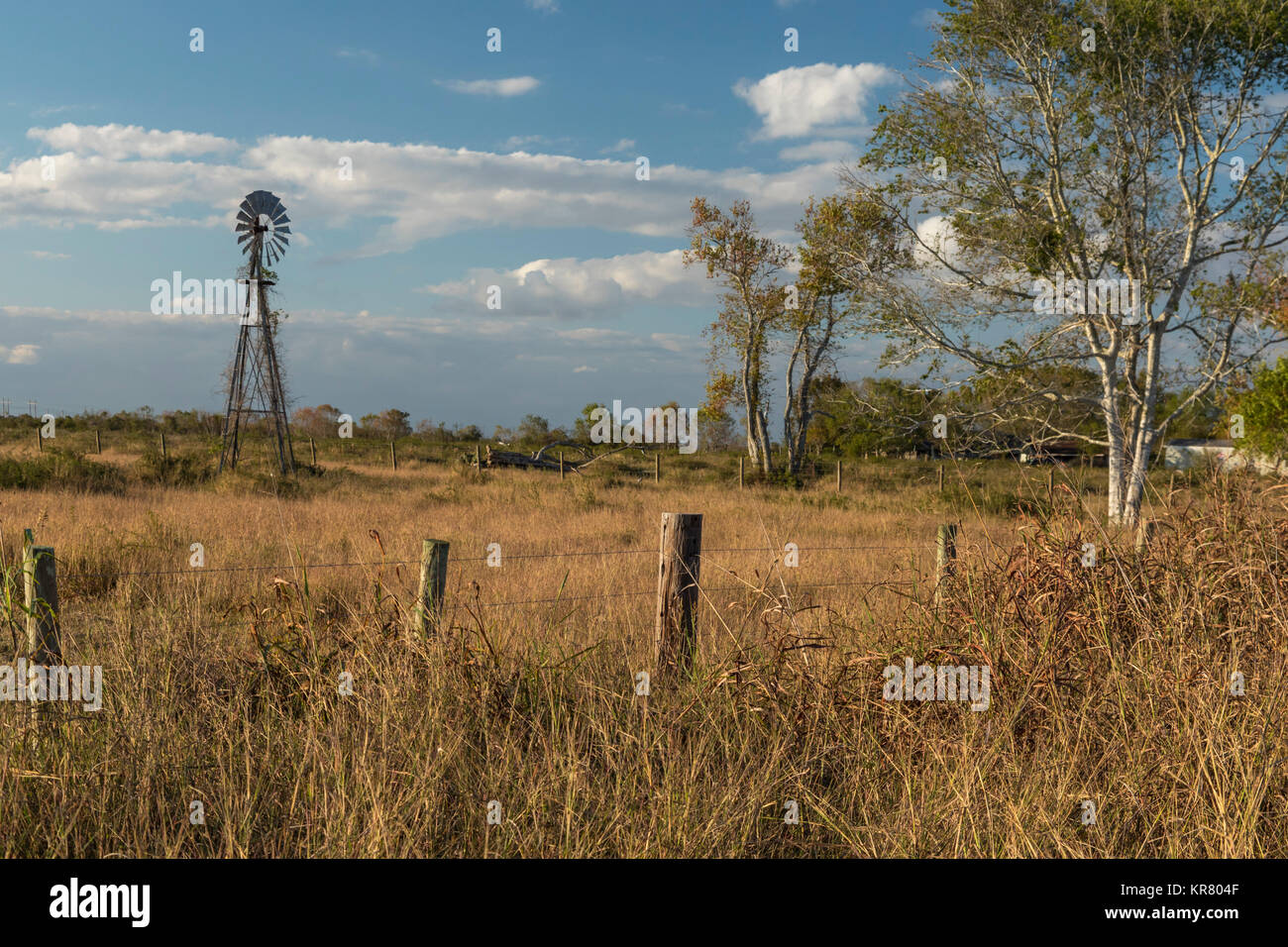 Wadsworth, Texas - eine Windmühle in einem Feld in der Nähe des Bulf von Mexiko. Stockfoto