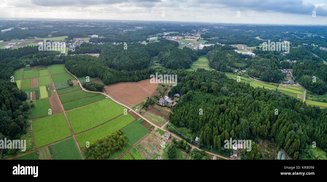Shimousa Plateau, Tako Stadt, Katori Bezirk, Präfektur Chiba, Japan Stockfoto