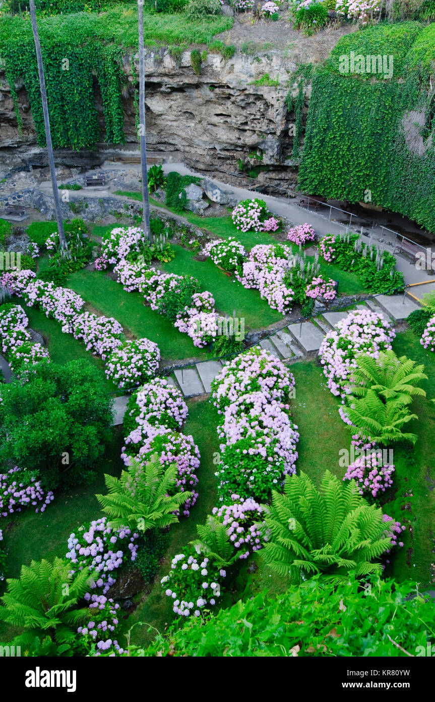 Die Höhle Gärten in Umpherston Sinkhole, Mount Gambier, South Australia