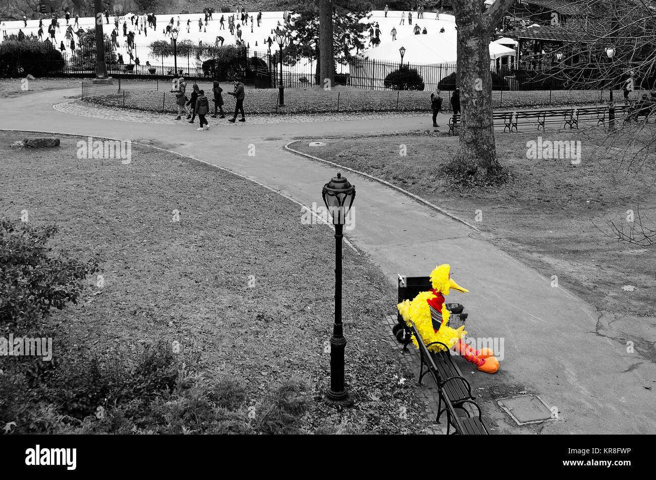 Big Bird im Central Park in New York Stockfoto