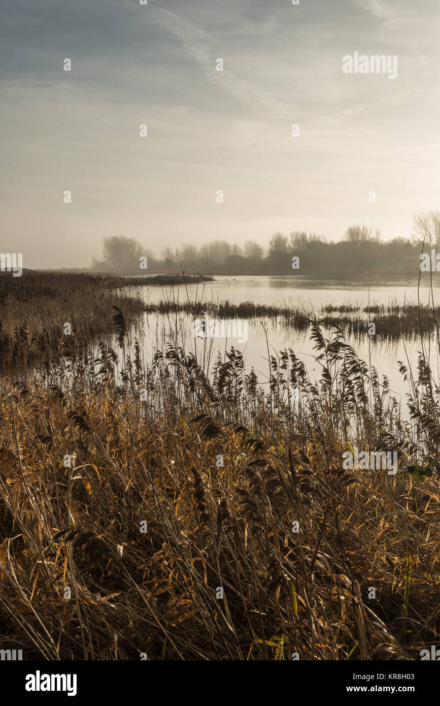 Eine misty Dezember Morgen am See von Marton bloße Nature Reserve in der Nähe der Küstenstadt Blackpool Lancashire, England, Großbritannien Stockfoto