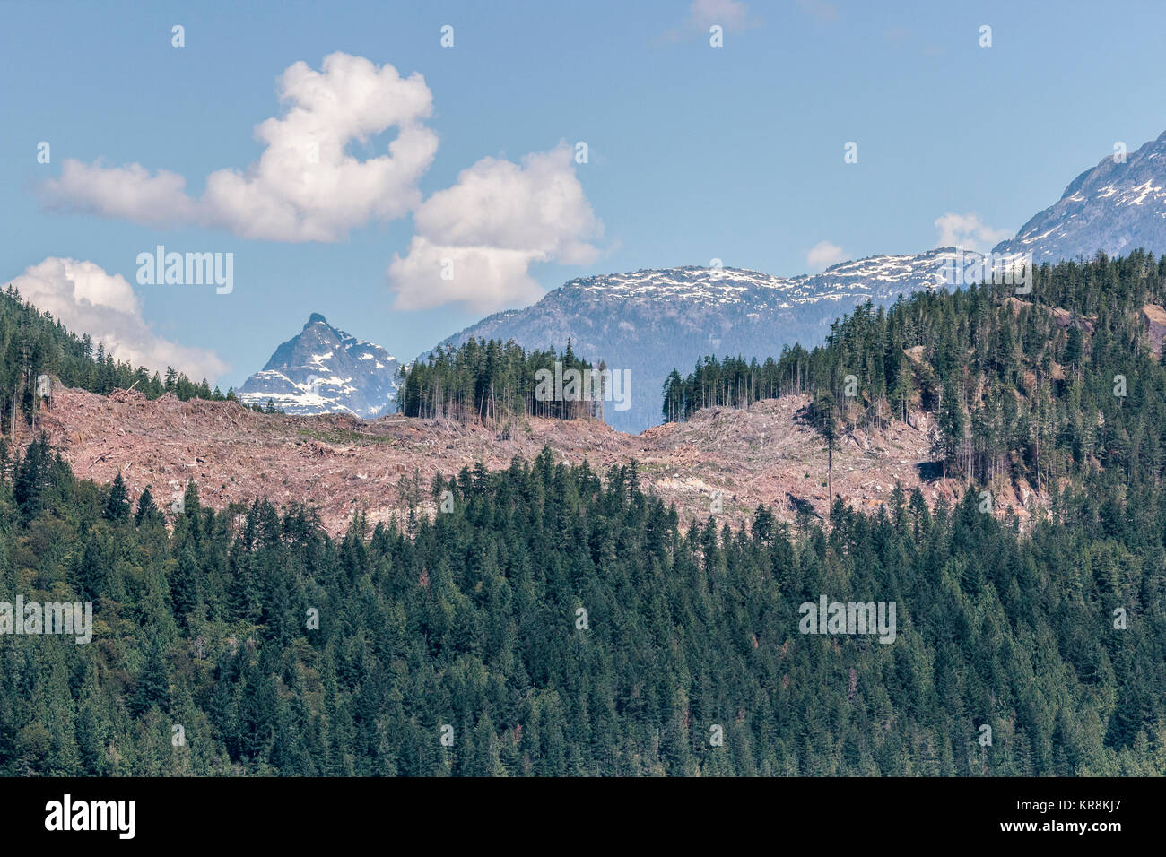 Klares logging Kahle hat Teil an einem steilen Hang in Jervis Inlet, British Columbia. Im Hintergrund sind Gipfel der Coast Mountain Range. Stockfoto