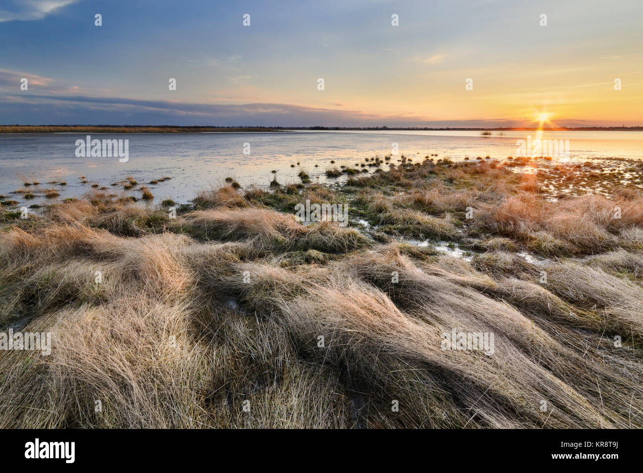 In der Ukraine, Dnepropetrovsk Region, Bezirk, See Soleniy Novomoskovskiy Lyman, Sonnenaufgang über dem See Stockfoto