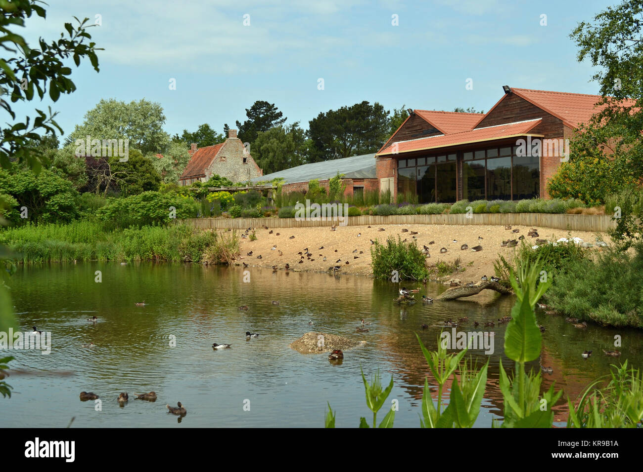 Pensthorpe Naturpark, Naturschutzgebiet, das Besucherzentrum, Fakenham, Norfolk, England, Großbritannien Stockfoto