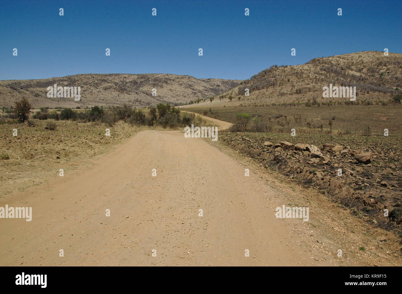 Die Landschaft im Pilanesberg National Park, North West Provinve, Südafrika Stockfoto