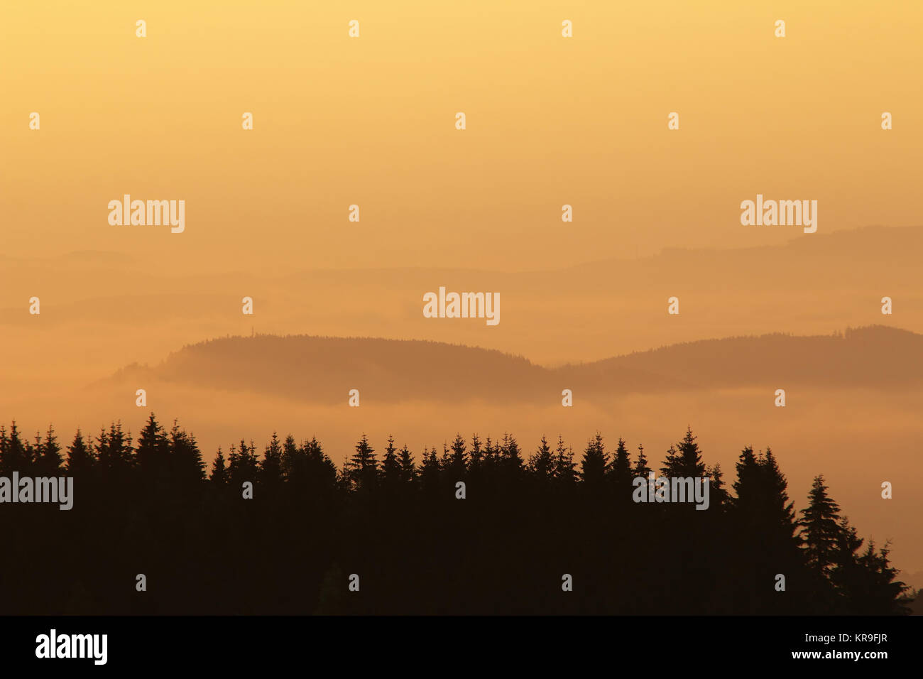 Bewaldeten Hügeln im frühen Morgennebel Stockfoto Bewaldeten Hügeln im frühen Morgennebel Stockfoto
