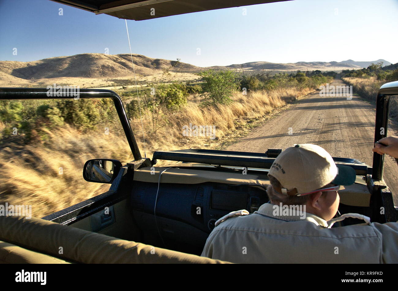 North West Provinz, Südafrika - 2017: Ein Mann fährt eine offene Land Rover mit Touristen in einem Safari im Pilanesberg National Park Stockfoto