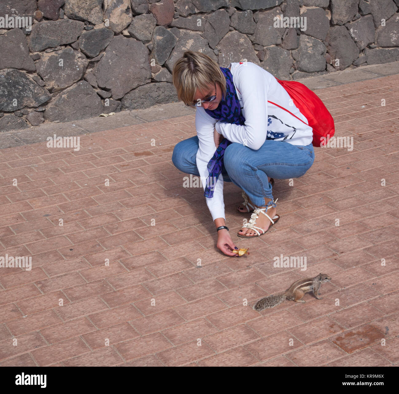 Streifenhörnchen lustige Tier mit Frau Fuerteventura Insel Kanaren Stockfoto