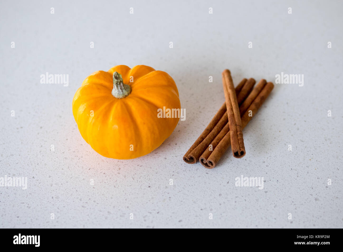 Pumpkin spice Konzept. Stockfoto