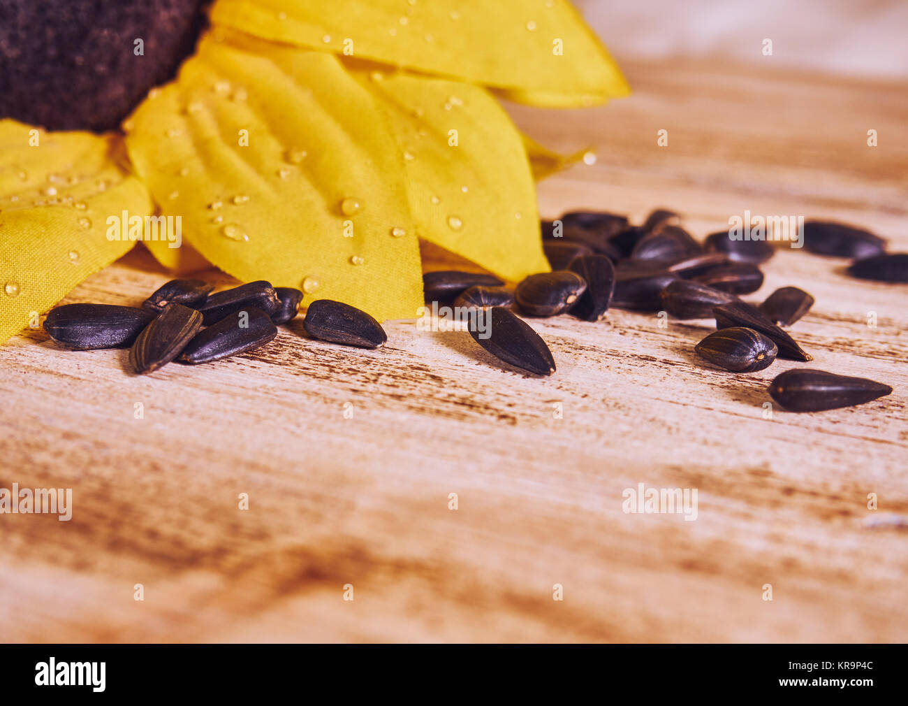 Sonnenblumen und verstreuten Sonnenblumenkerne Stockfoto