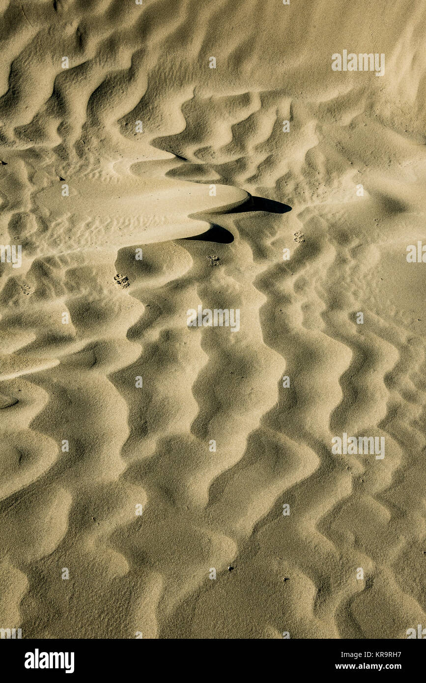 Details der Wind drift Muster auf große Sanddüne am Großen Sand Hügel südlich von Gespenst, Saskatchewan Stockfoto