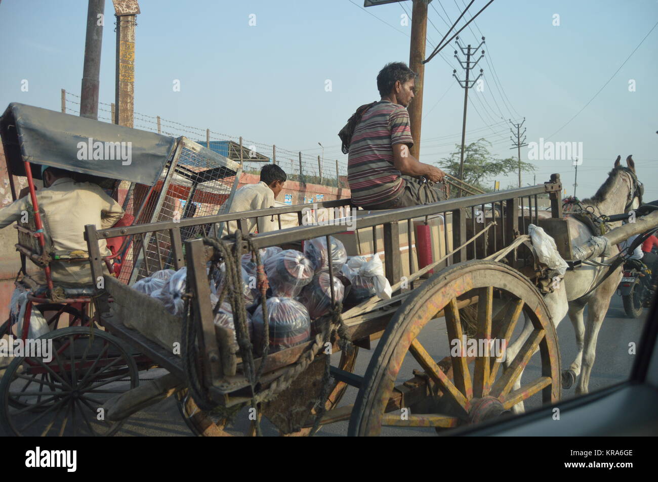 Pferd und Wagen Fahrer auf den Straßen von Agra, Indien Stockfoto