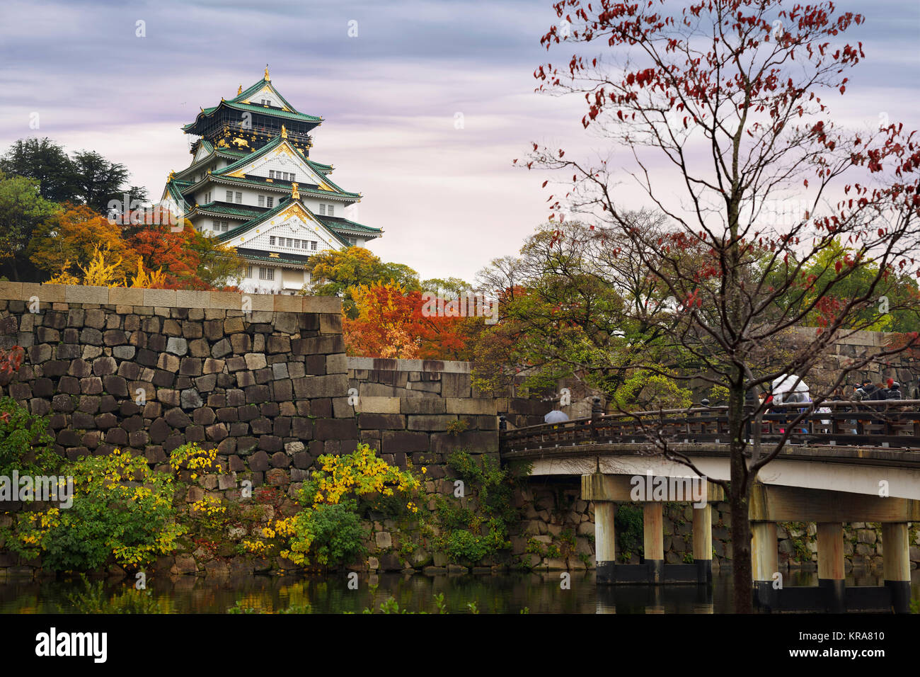 Führerschein und Drucke bei MaximImages.com - Schloss Osaka, Blick auf Osakajo von den gelben Herbstbäumen an einem nebligen Morgen. Osaka Castle Park im Herbst Stockfoto