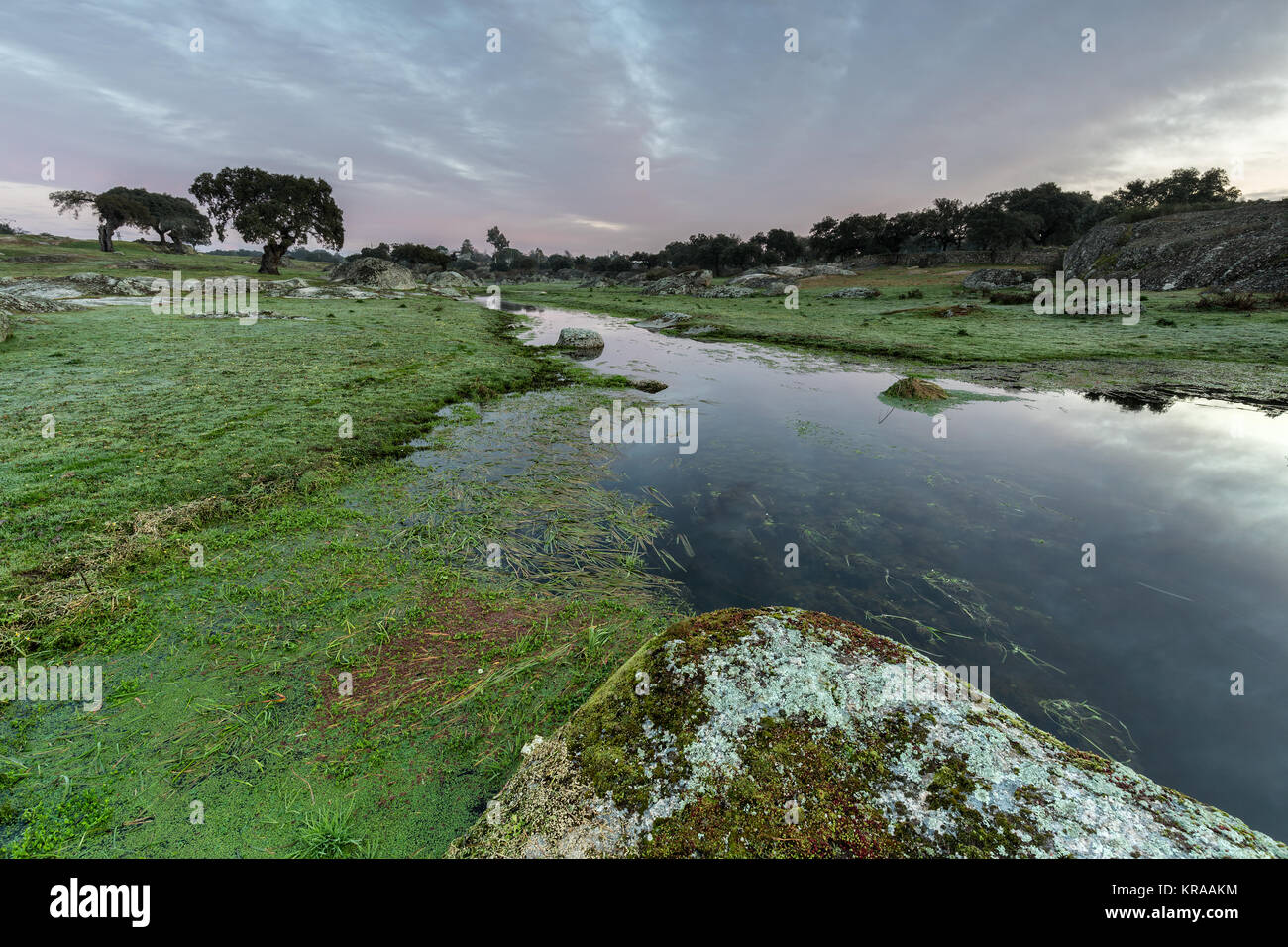 Landschaft in der Nähe von Arroyo de la Luz. Der Extremadura. Spanien. Stockfoto