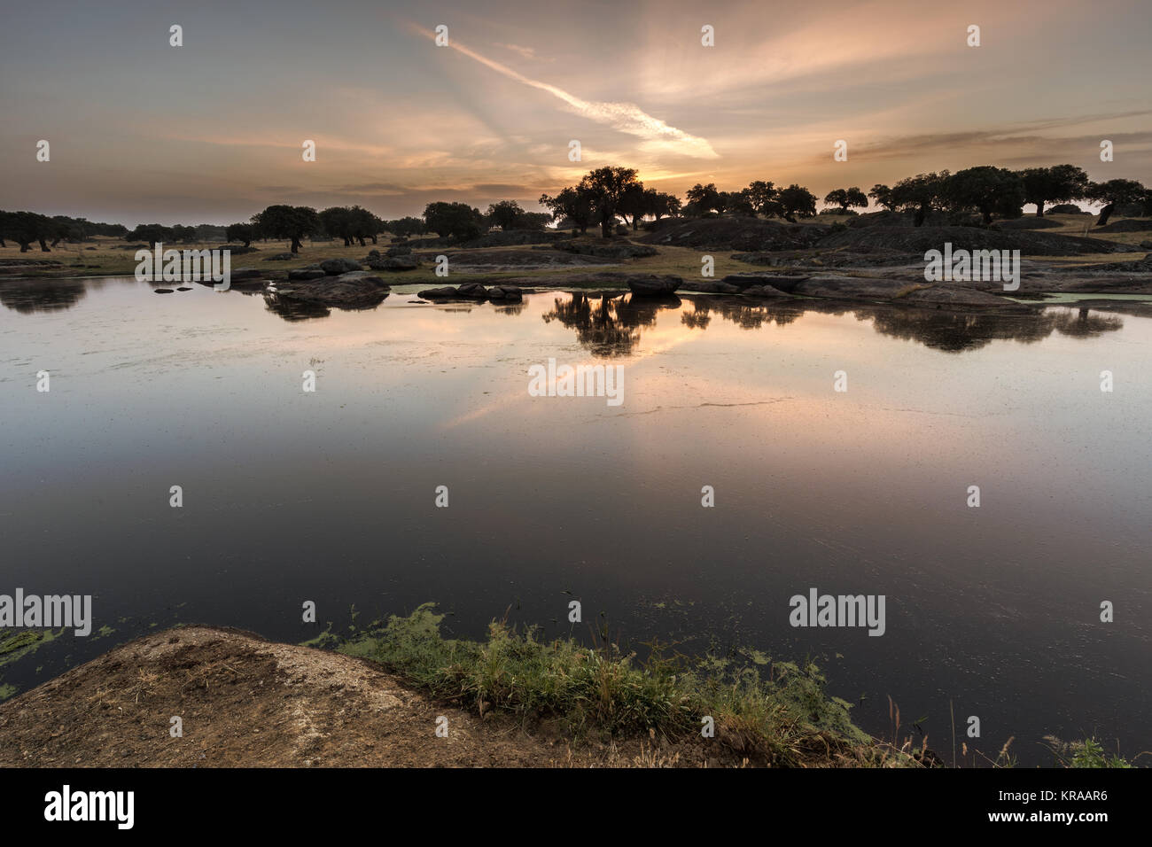 Dämmerung in der Nähe von Arroyo de la Luz. Der Extremadura. Spanien. Stockfoto