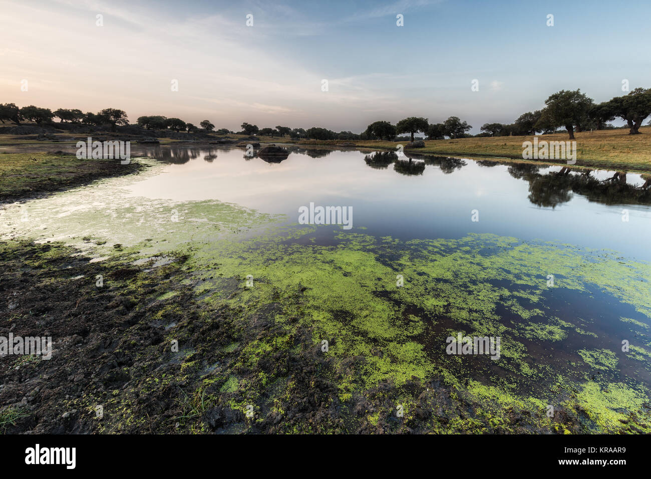 Landschaft in der Nähe von Arroyo de la Luz. Der Extremadura. Spanien. Stockfoto