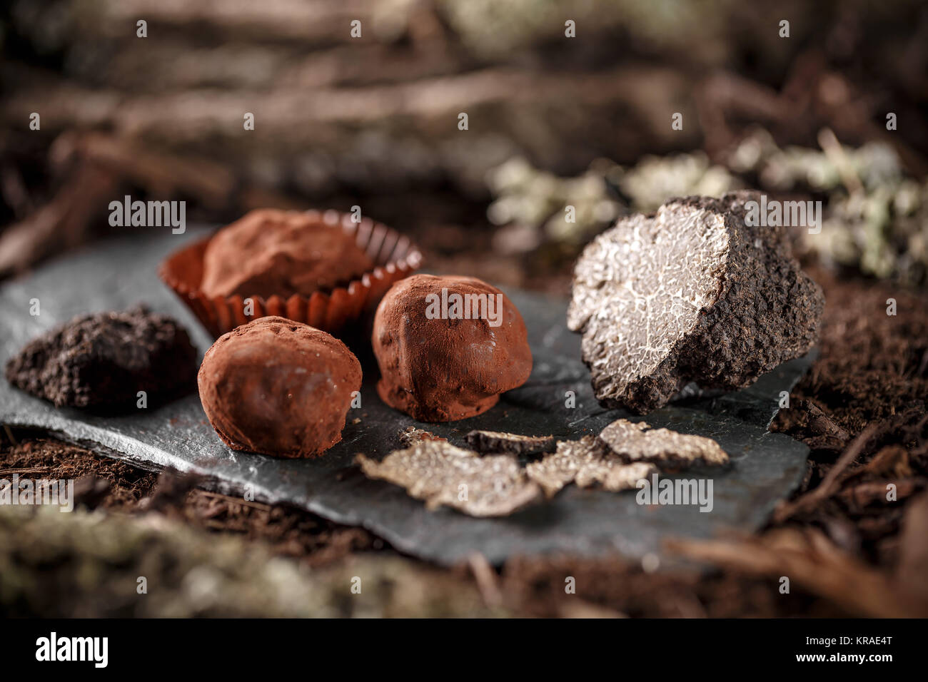 Schokoladen-Trüffel Stockfoto