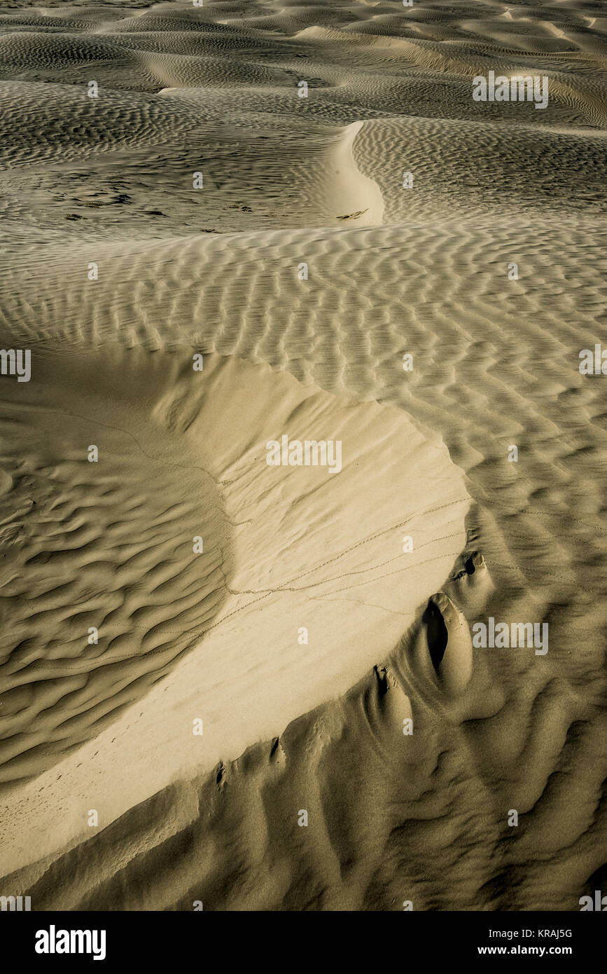 Details der Wind drift Muster auf große Sanddüne am Großen Sand Hügel südlich von Gespenst, Saskatchewan Stockfoto
