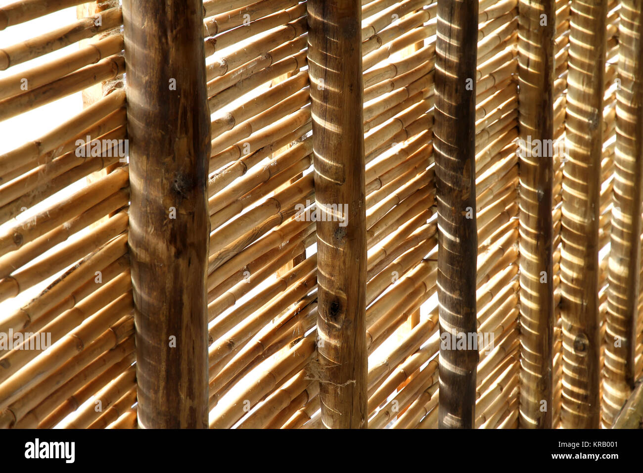 Ein Bambus-Dach gegen den Himmel. Stockfoto