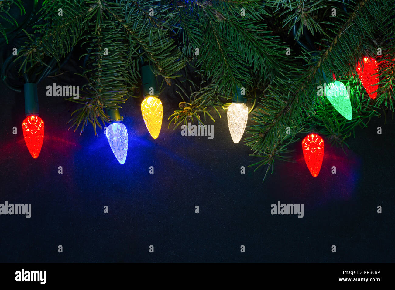 Weihnachtsbeleuchtung und Evergreens vor einem dunklen Hintergrund. Stockfoto