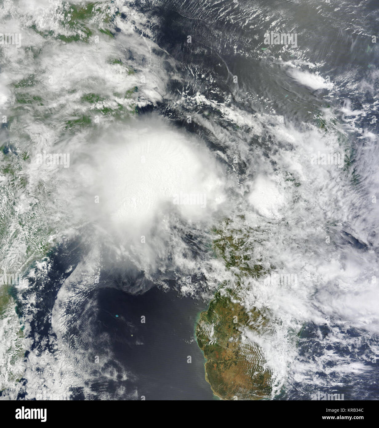 Irina Feb 28 2012 0725 Z Stockfoto