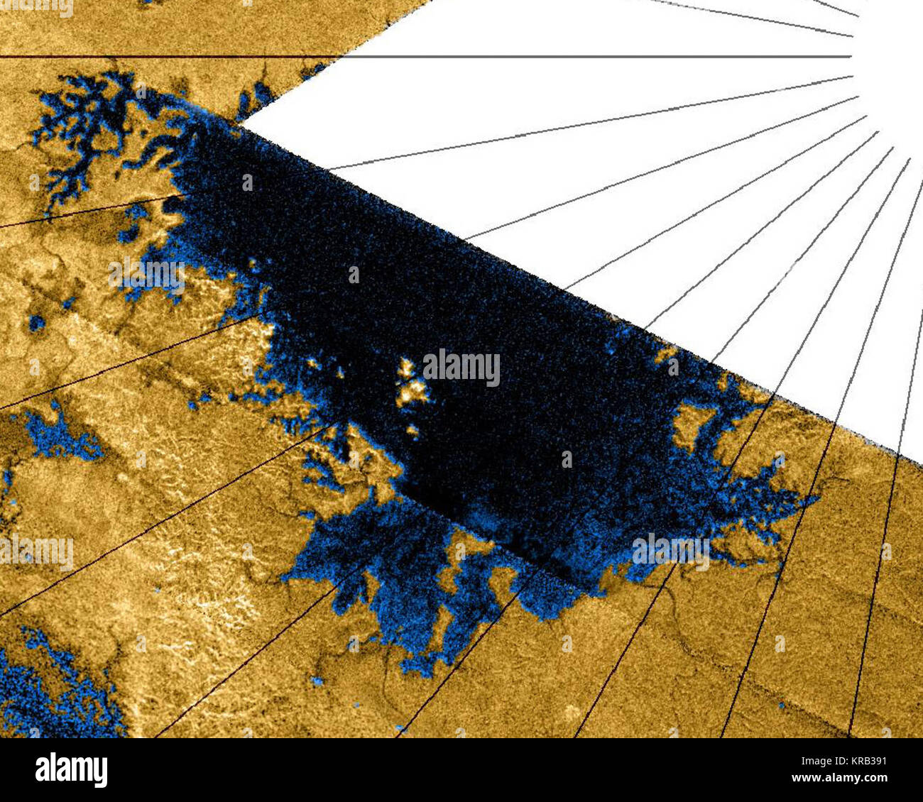 PIA10008 Punga Mare Erntegut Stockfoto