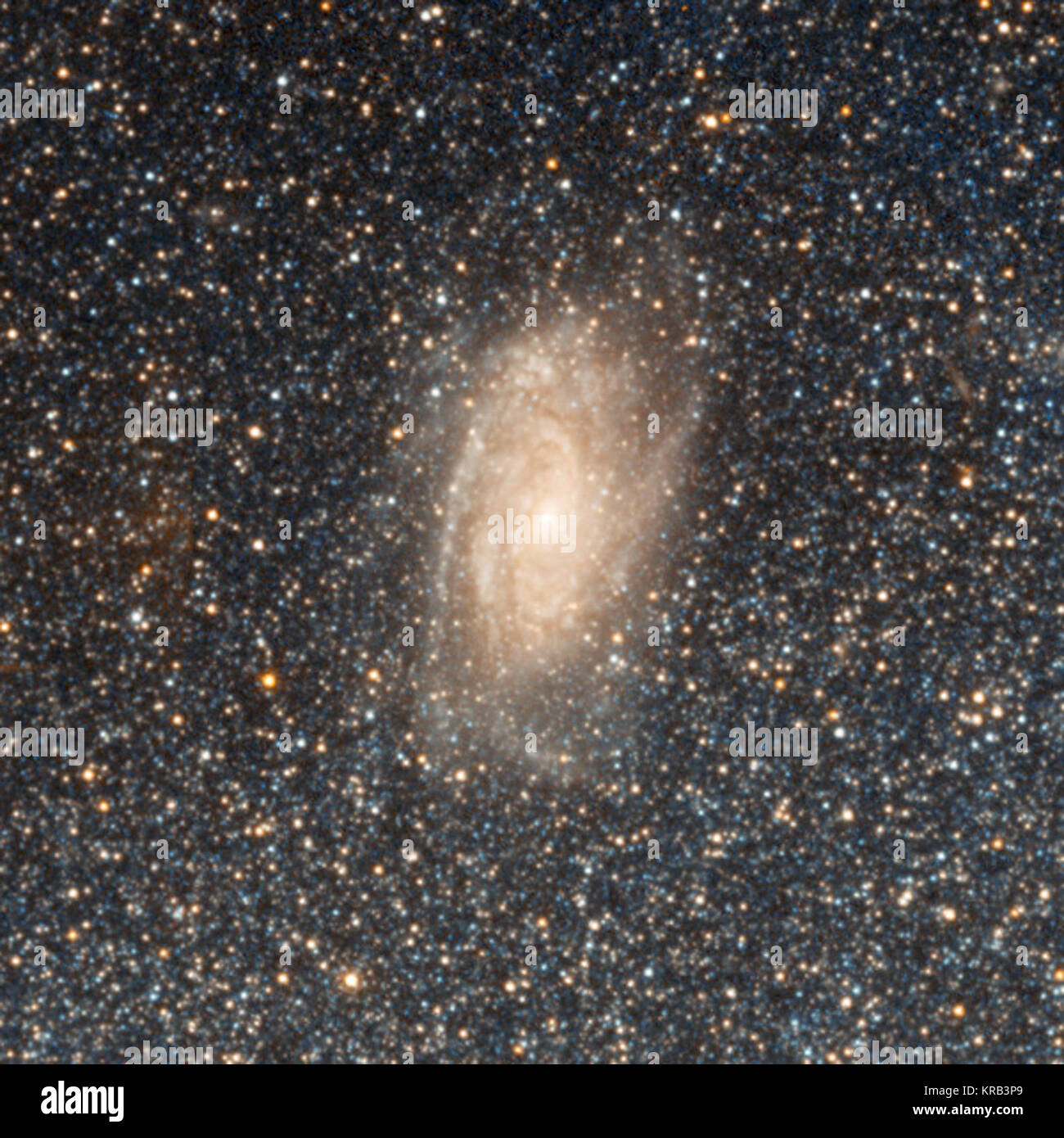 Die NASA/ESA Hubble Space Telescope hat detaillierte Beobachtungen der Zwerggalaxie NGC 2366 gemacht. Während es das elegante Spiralarme vieler größerer Galaxien fehlt, NGC 2366 ist die Heimat einer hellen, Star-forming Nebel und ist nahe genug für die Astronomen der einzelnen Sterne zu erkennen. 2 MASX J B 6912186 072845392 Stockfoto