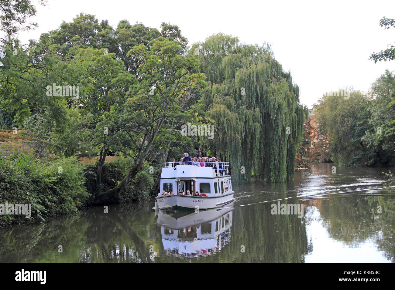 Scenic II, eine touristische Vergnügen Kreuzfahrtschiff, auf dem Fluss Avon in der Nähe von Bath Stockfoto